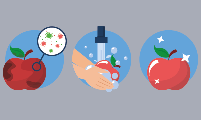 Food Hygiene Level 1 Training